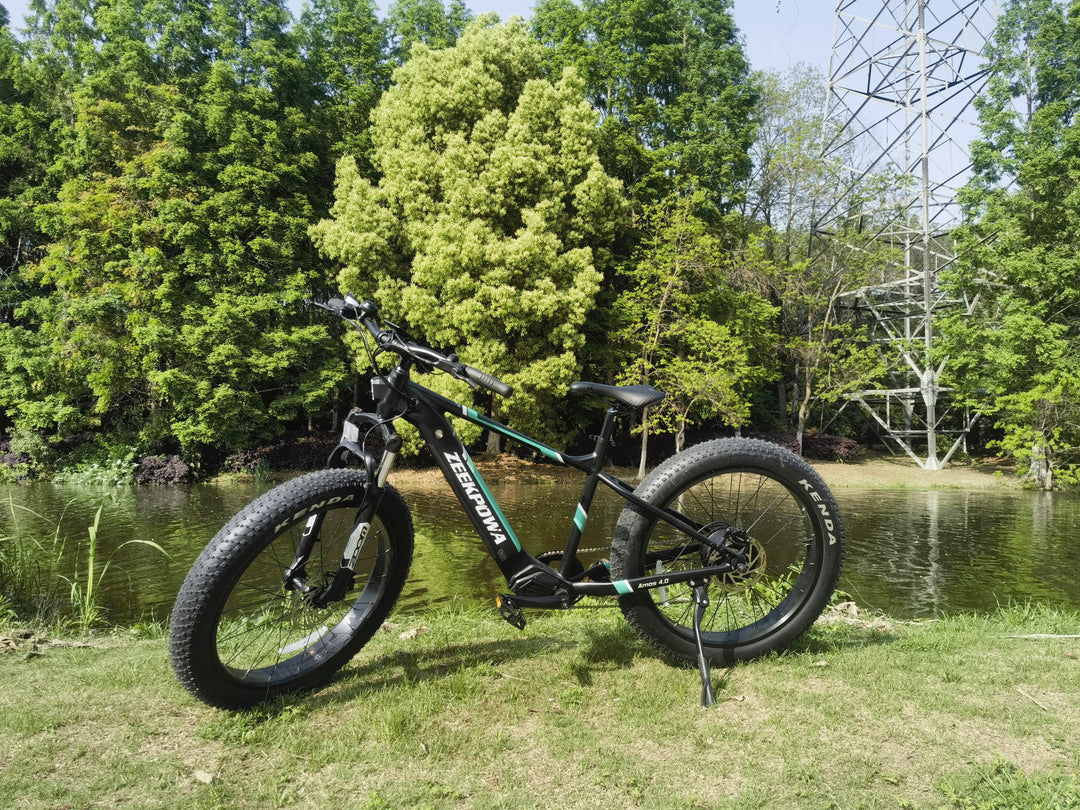 Still struggling with which E-bike/pedelec to get?