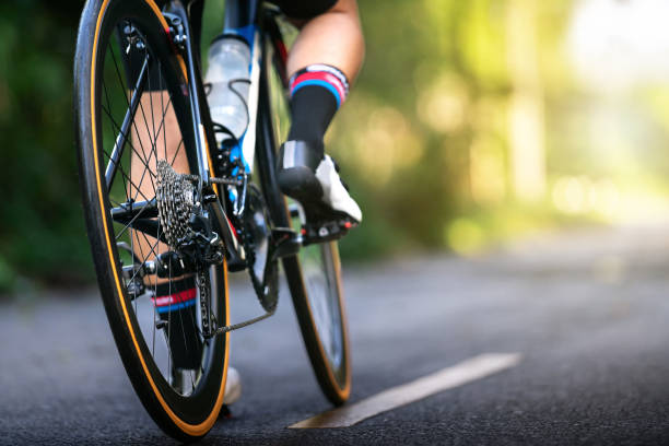 Bafang Accessories