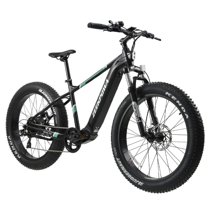 eBikes