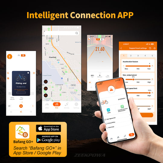 Bafang DPC010 CAN Display CN Version