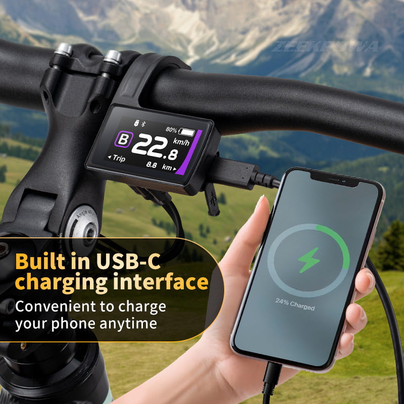 Bafang Display DP C245 CAN Protocol