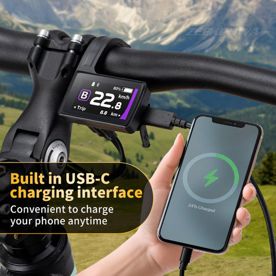 Bafang Display DP C245 CAN Protocol